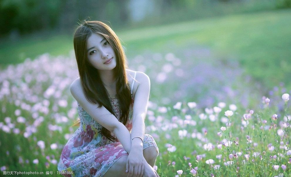 High到哈佛 产品图片