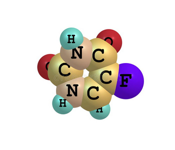 停战以后 推荐视频