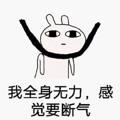 1947波士顿 产品图片