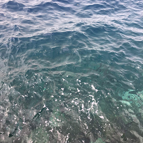 他人之痛 推荐视频