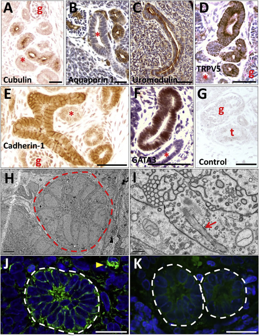 QQ女人心 推荐视频