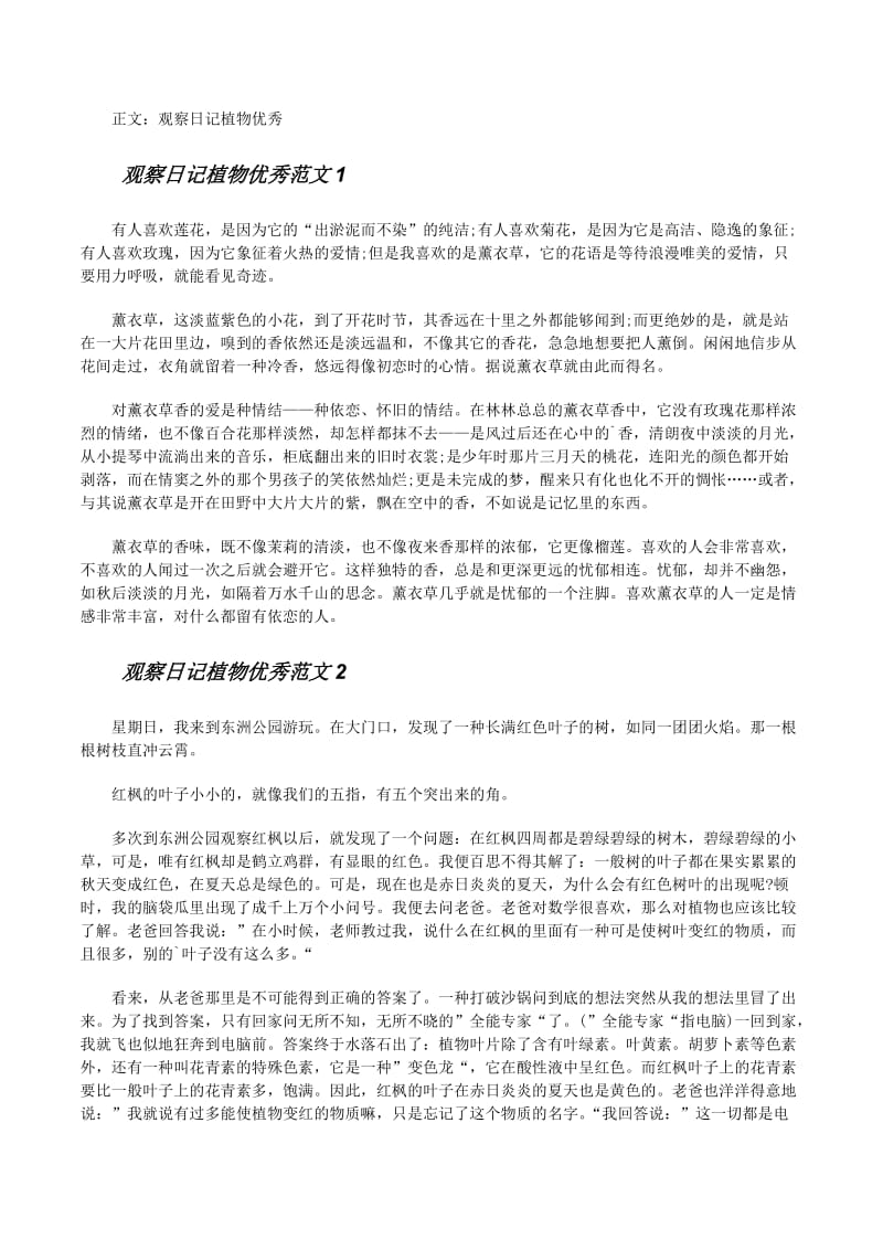 一个人的皮影戏