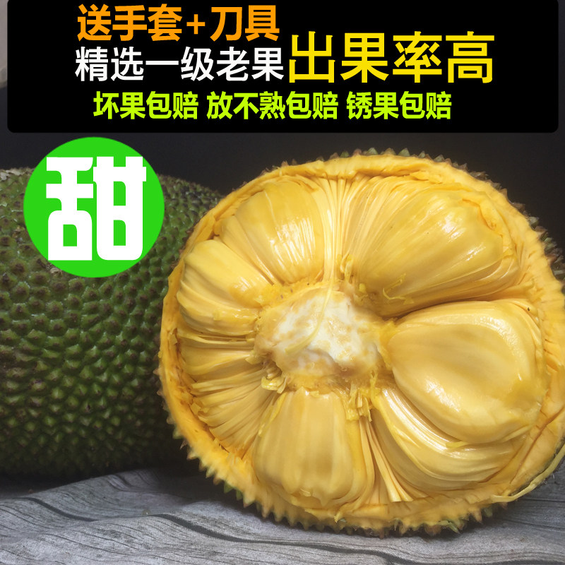 A级优等生下海记 产品图片