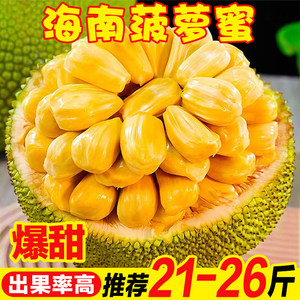 七十二家房客第三部 推荐视频