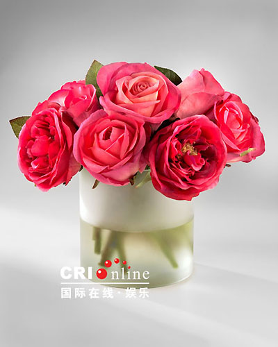 O记三合会档案 产品图片