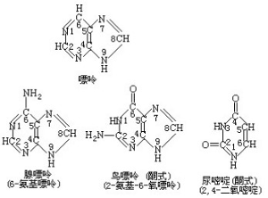云上有个月亮 视频主图