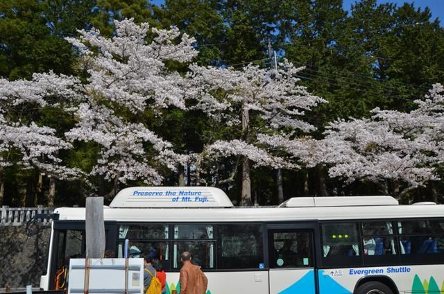 代客泊车 推荐视频