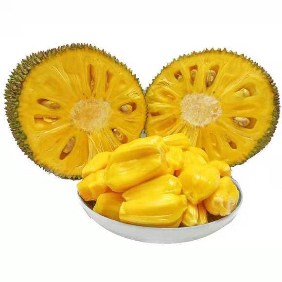 今年圣诞很挪威