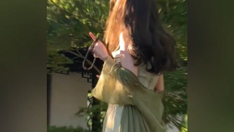 一条狗的回家路（原声版）