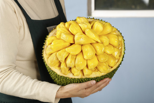 AI创世者 产品图片