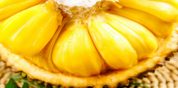 一个人的捉迷藏 推荐视频