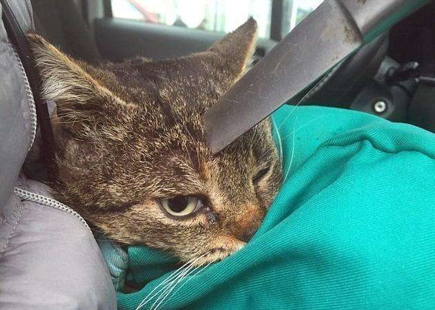 Bâan-大人的疆界 日语 推荐视频