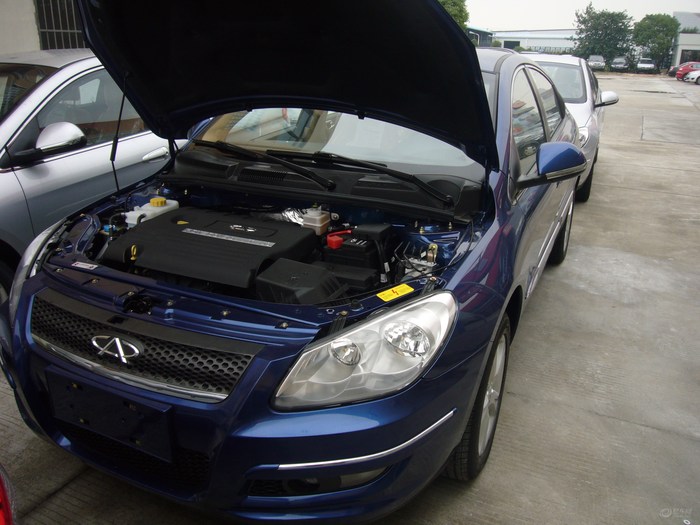 今晚不要让我们去打狗 推荐视频