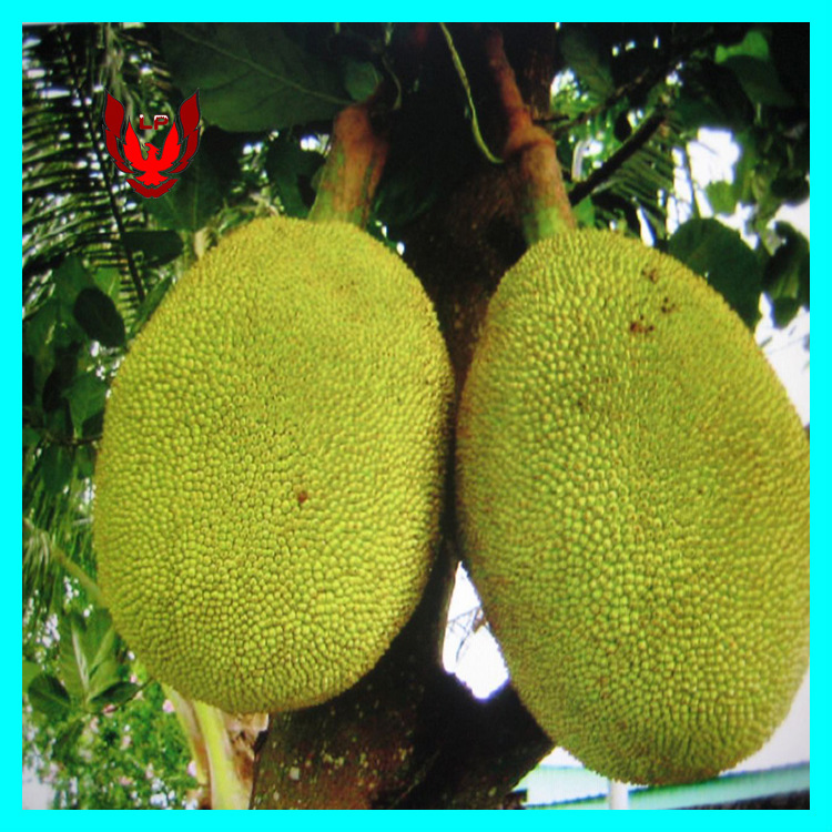 人鬼情未了 推荐视频