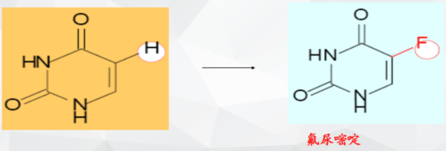 Shetty小姐Polishetty先生 产品图片