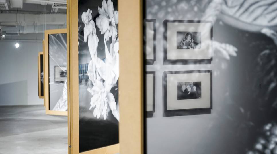 假装不正经 推荐视频