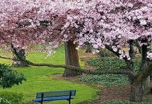 一家之主 推荐视频