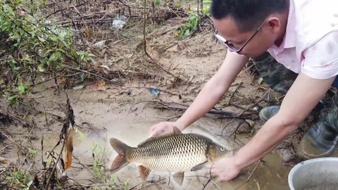 他非良配 推荐视频