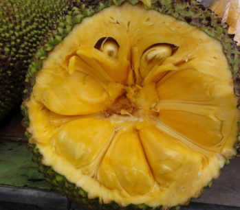 倩女幽魂（粤语版） 推荐视频