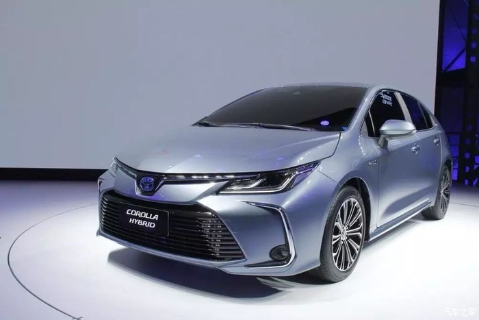 他人之痛 推荐视频