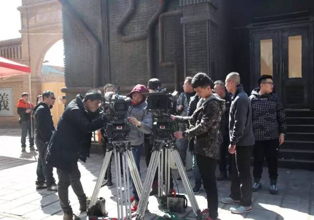 一棵树 推荐视频