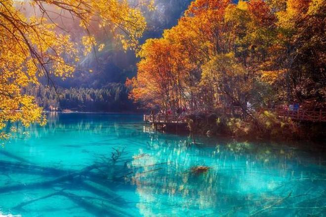 一枝光棍走天涯 推荐视频