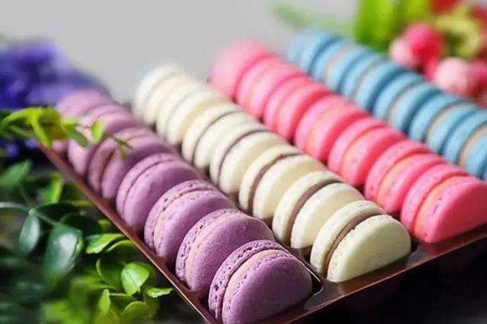 BJ单身日记2：理性边缘 推荐视频