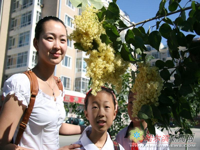 偷偷爱你 推荐视频