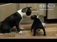 AI创世者 推荐视频