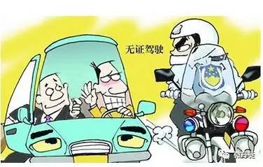 倔强萝卜 推荐视频