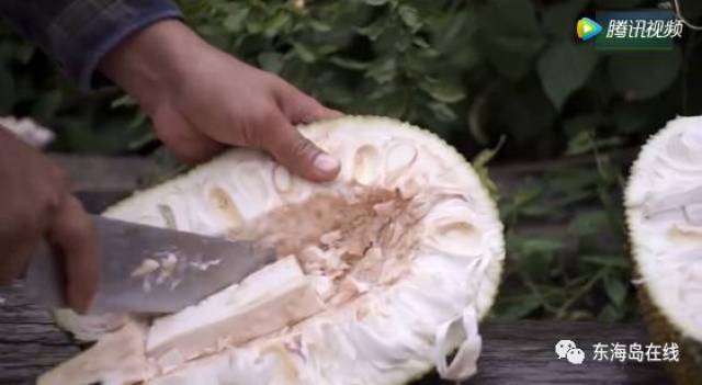 他们在相爱 推荐视频