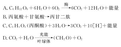 一夜惊喜 推荐视频