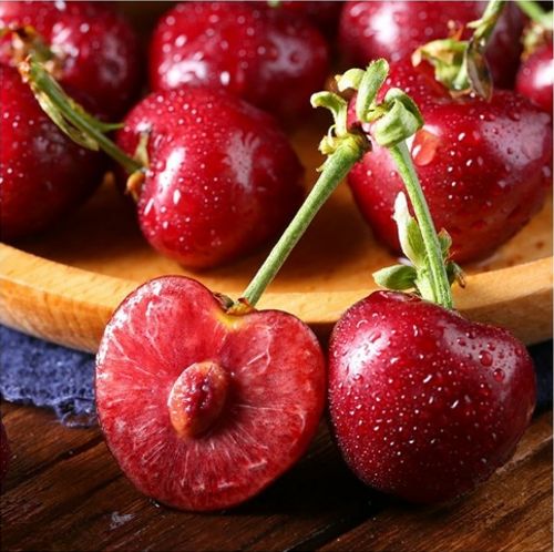 从暗处来 推荐视频