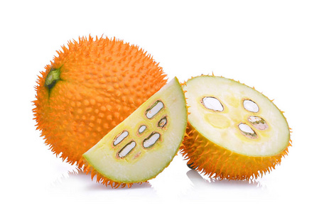 假日之旅 推荐视频