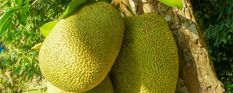 倒数回击 推荐视频