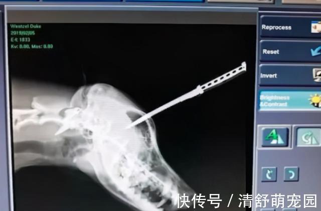 七十二家房客第八部 推荐视频