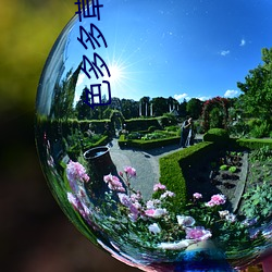 B+侦探 产品图片