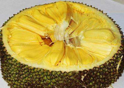 一九四四 推荐视频