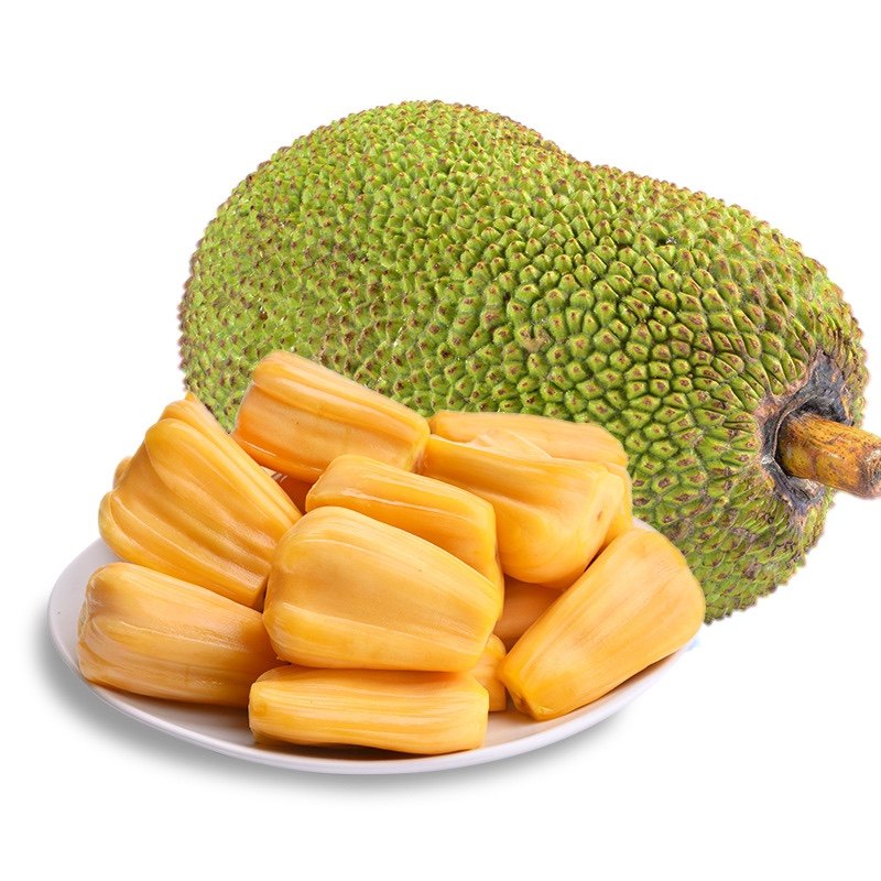 R2B：回到基地 产品图片