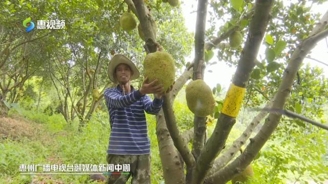 一曲成名 推荐视频