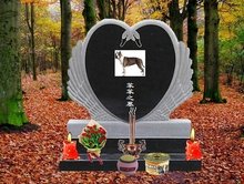 云清雾也散 推荐视频