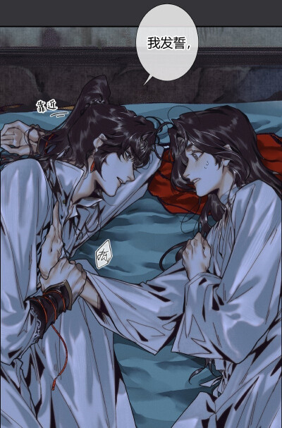 Cop a Half 产品图片