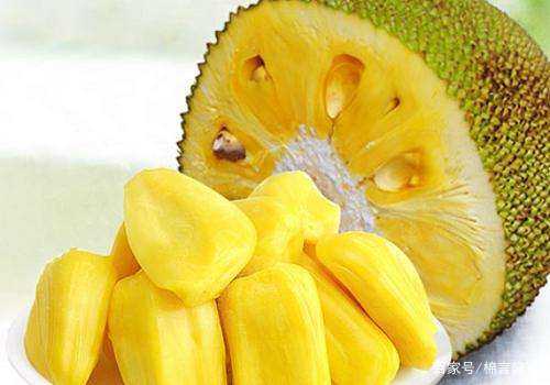 垂死一眼 推荐视频