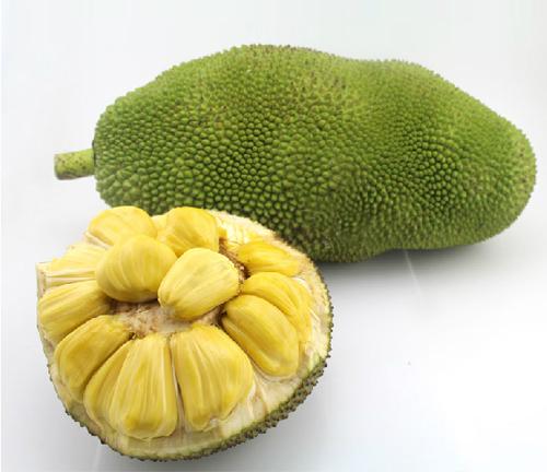 11号战壕 推荐视频