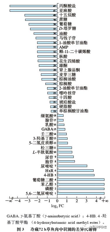 万世师表 推荐视频