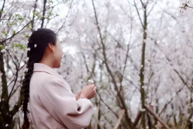 夏夜迷城 推荐视频