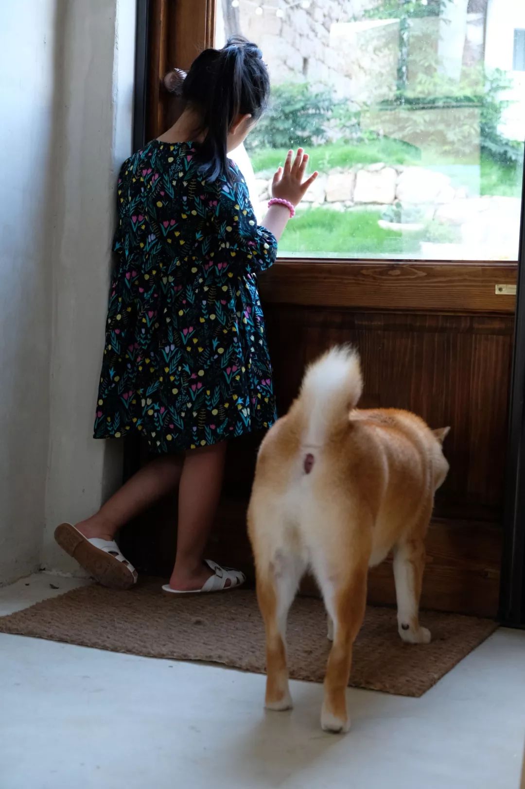 一棵树 推荐视频