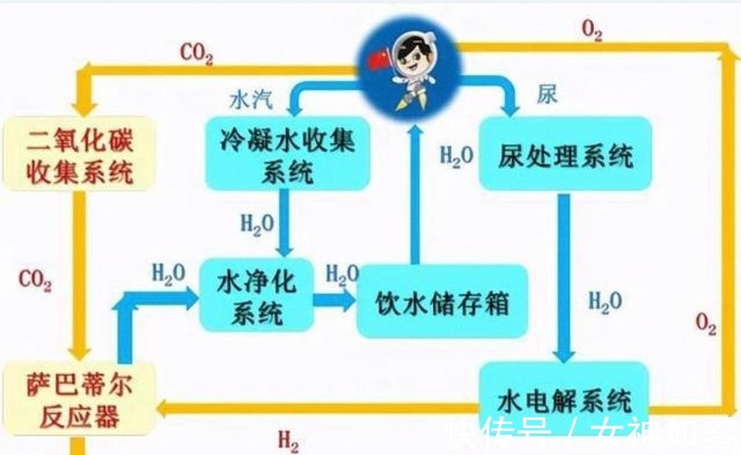 他非良配 推荐视频