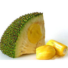 García y García 推荐视频