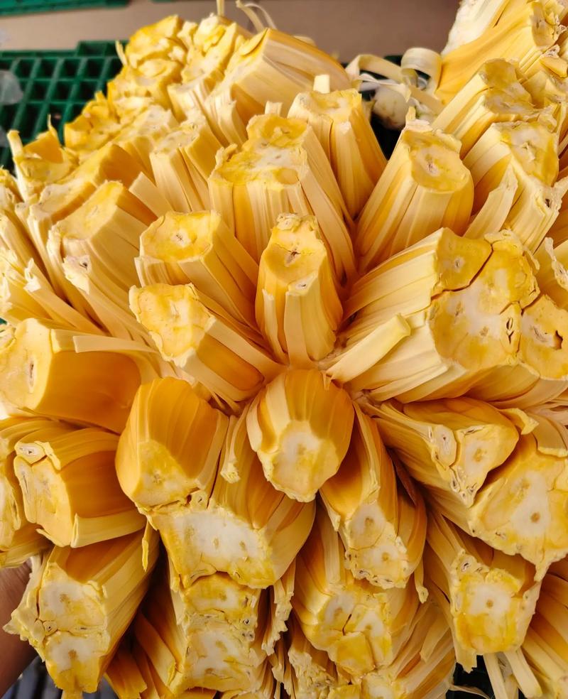 停战以后 推荐视频